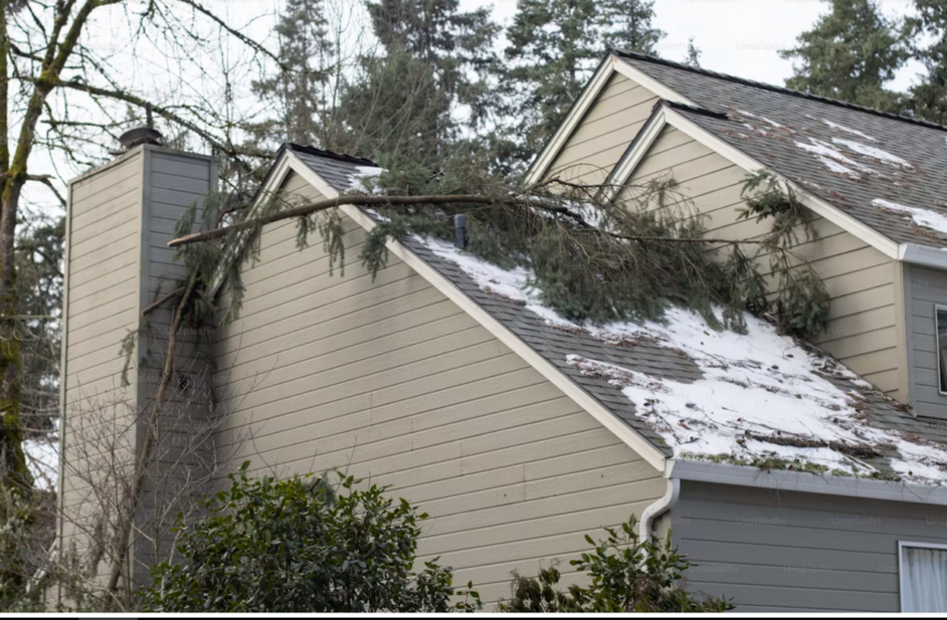 Preventing Tree Branch Penetration Emergency Roofing Services Towson
